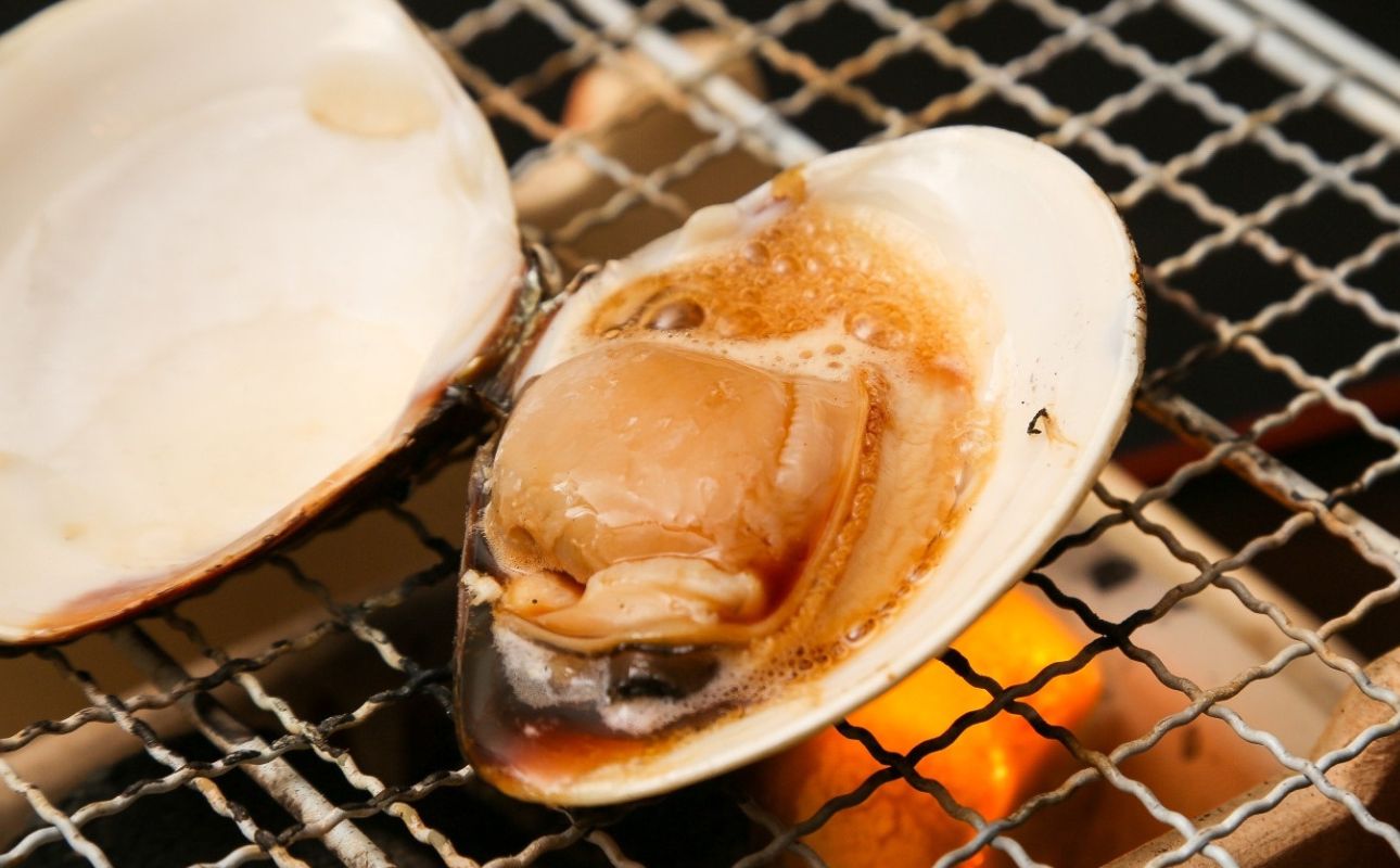 貝新畜養 活かしはまぐり （極上サイズ）2kg 木箱入りはまぐり ハマグリ 蛤