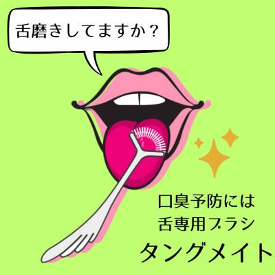 ふるさと納税 寝屋川市 【口臭が気になる方に】薄型ヘッド舌ブラシ タングメイト白 6本セット　日本製 |  | 01