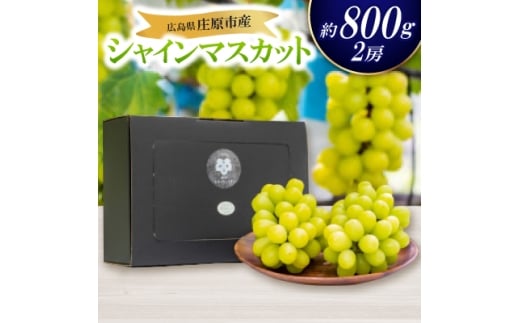 <先行受付 2026年発送>シャインマスカット2房セット【1465047】
