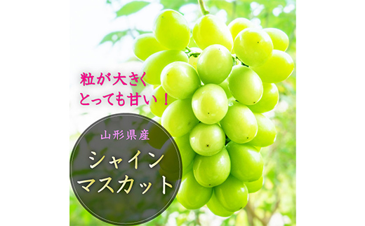 中山町の至高！ 山形県中山町 厳選新米・フルーツ定期便 全3回 【2025年8月発送開始】 F4A-0376