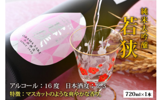 小浜の米と水で出来た日本酒　小浜酒造の純米酒3本セット [BFBA001]