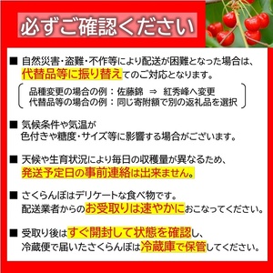 【令和8年産先行予約】 さくらんぼ 「佐藤錦または紅秀峰」 360g (180g×2パック 秀 L以上) 《令和8年6月上旬～発送》 『南陽中央青果市場』 サクランボ 山形県 南陽市 [1475]