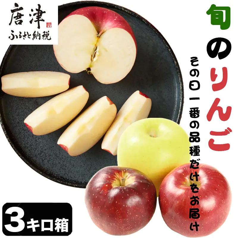 『先行予約』【令和8年8月中旬発送】厳選 九州旬のりんご 3キロ箱(8～12玉入) 九州 リンゴ 林檎 フルーツ 果物 つるが 秋映 紅将軍 シナノスイート シナノゴールド 3kg