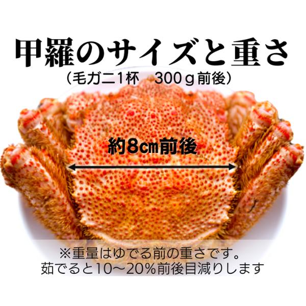 【令和8年発送】三陸産 三陸活毛ガニ 300g×4杯【2026年3月～4月発送】【05】