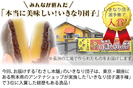 むさし本舗の いきなり団子 10個入り (黒粒4個、黒こし3個、白あん3個)  お菓子 スイーツ デザート 和菓子 おもてなし 贈答  《60日以内に出荷予定(土日祝除く)》