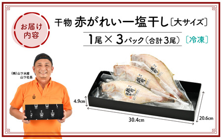 干物 セット 赤がれい 一塩干し 大サイズ （1尾 × 3パック入り）1尾約170g【小分け 個包装 保存料・着色料 無添加】 [e04-a091]