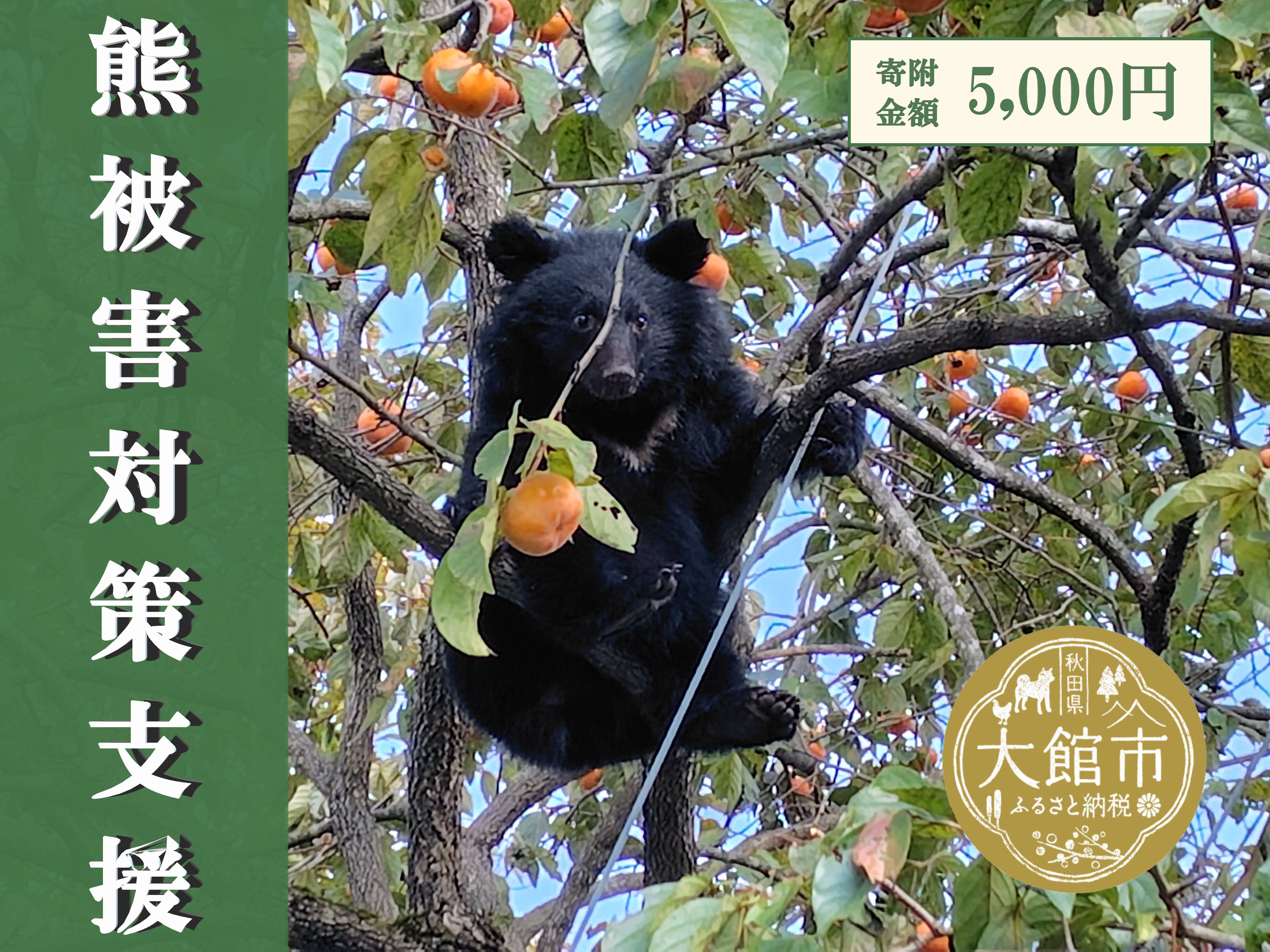
                  【返礼品なし】熊被害対策支援(大館市)
                