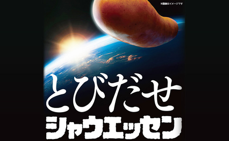 【ふるさと納税】シャウエッセン1袋（標準5本入）×12パック 計1.404kg 日本ハム 工場直送 ウインナー 朝食 昼食 夕食 お弁当 小分け 使い切り 