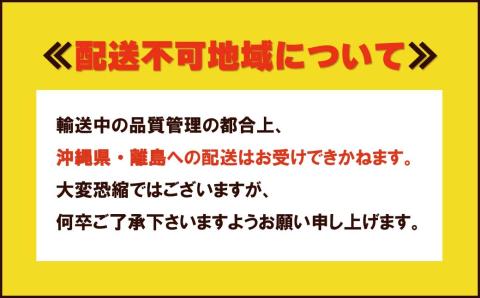 【期間限定】おがファームの道産子いちご 大粒「けんたろう」520g