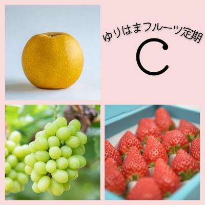ふるさと納税 湯梨浜町 ゆりはまフルーツ定期C(39K.)