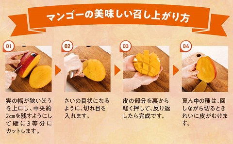 【期間・数量限定】おがたのマンゴー　完熟宮崎マンゴー　2Lサイズ（350～449g）×1個