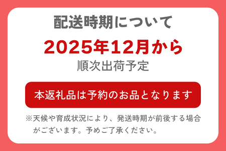  [先行予約] 産地直送！加藤農園の下仁田ねぎ 約4kg [12月中旬より順次発送]｜数量限定 冬の味覚 下仁田ネギ 鍋 すき焼き 葱 ネギ 長ねぎ 殿様ねぎ かき揚げ 国産 群馬県産 甘楽町産 産地