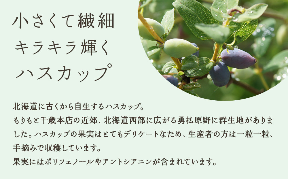 北の散歩道3種食べ比べ（ハスカップ×2箱、いちご×1箱、メロン×1箱）