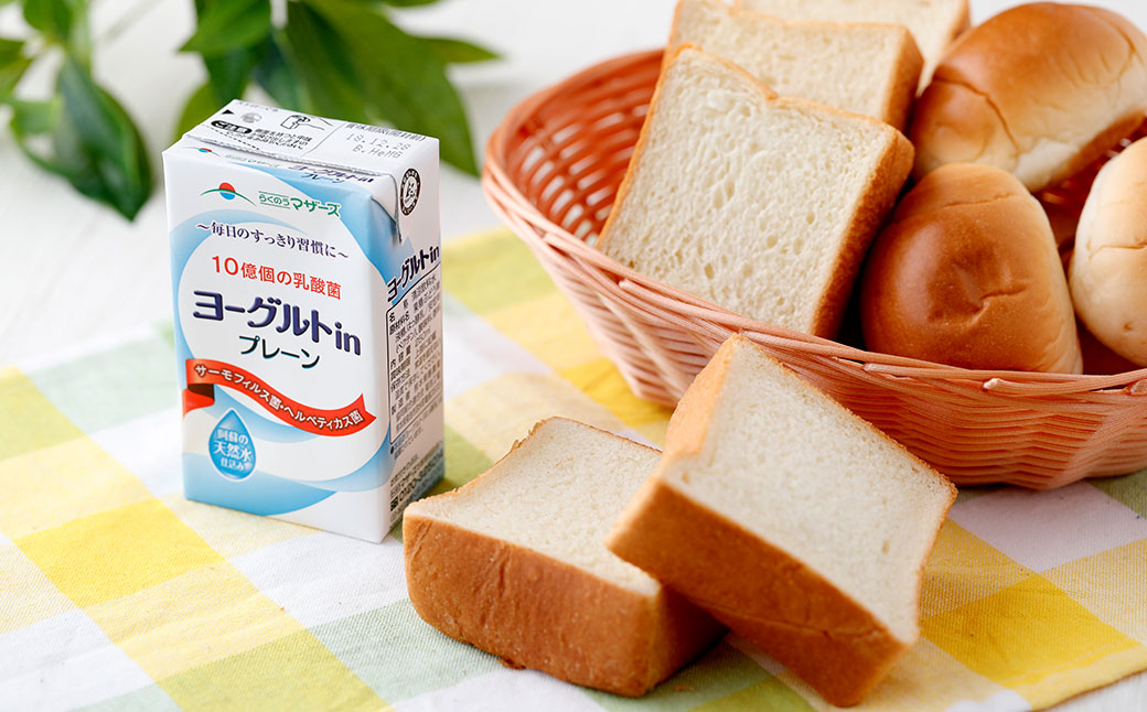 【2ヶ月毎6回定期便】ヨーグルトinプレーン 250ml 計144本（24本×6回）