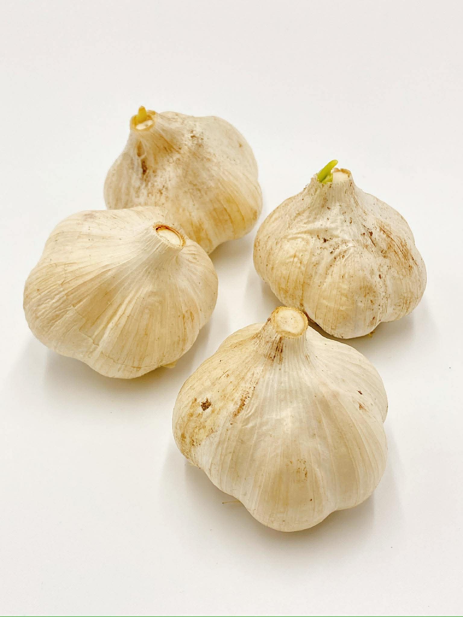 【ふるさと納税】《先行予約》選べる内容量 飛騨産 にんにく 300g 500g 1kg ニンニク【7月中旬〜12月発送】水村農園 [Q3219] 5000円 8000円 10000円