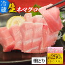 【ふるさと納税】【冷蔵・指定日着可】生本マグロ大トロ 約250g 2～3人前 / まぐろ 鮪 さく 柵どり 冷蔵 真空パック ヘルシー 国産 送料無料 [A-066007]