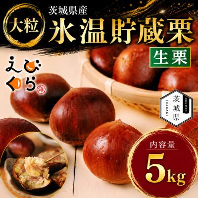 ふるさと納税 茨城県 生産者直送 茨城県産 海老澤農園の氷温熟成栗5kg 生栗 大玉 薬剤不使用
