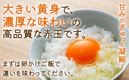 青柳たまご30個
