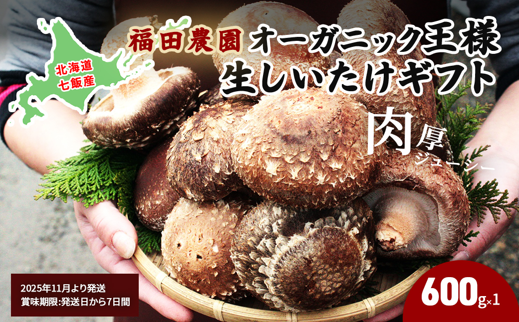 【2025年11月より発送】オーガニック王様生しいたけギフト 肉厚ジューシー 福田農園 NAT001
