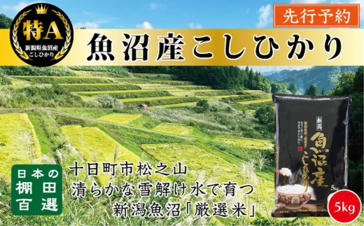 
                  【令和8年産新米予約】【食味鑑定士厳選】　日本の棚田百選　新潟県十日町（魚沼）産　コシヒカリ５kg(5kg×1)
                