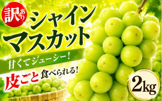 【先行予約】 訳あり シャインマスカット 約2kg ＜出荷時期：2026年8月上旬～9月下旬頃＞ ぶどう 葡萄 マスカット フルーツ 果物 ゼリー ジュース アイス デザート スイーツ ケーキ グルメ 人気 おすすめ 甘い 送料無料 三木ぶどう園 徳島県 阿波市
