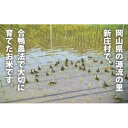 【ふるさと納税】3002.【新米】令和6年産 有機愛ガモ米5Kg(玄米コシヒカリ 有機うるち玄米)【1489811】