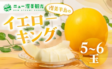 【先行予約】イエローキングメロン 5～6玉 ニュー渥美観光 メロン
