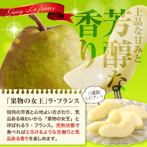 ラ・フランス 3kg フルーツ 果物 山形 08-28-002