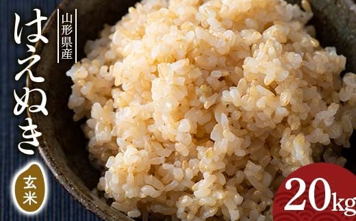 令和7年度 山形県産 はえぬき 玄米 20kg(5kg×4) お米 米 ごはん ご飯 げんまい 銘柄米 ブランド米 2025年 自宅 家庭 贈り物 プレゼント 贈答 ギフト 食品  山形県 西川町 月山 FYN6-410