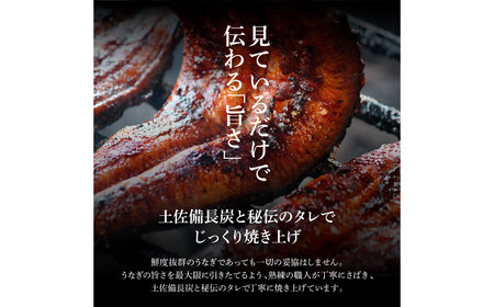 ～３ヶ月定期便～ ★ヤマシン★ 四国一小さなまち 特選うなぎの蒲焼き（冷凍） ２尾×３回 自家製タレ付き 寄附の翌月から発送開始（３回：３ヶ月）うなぎ 鰻 うなぎ蒲焼き ウナギ 秘伝 蒲焼