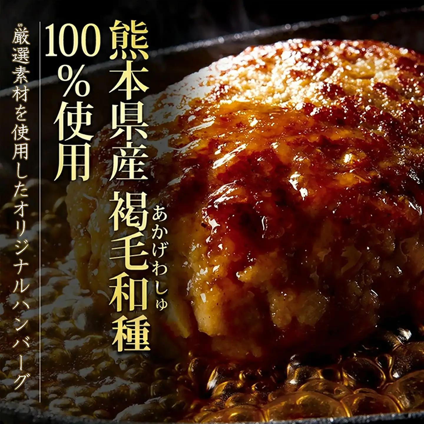 【阿蘇牧場】定期便 3回 熊本県産あか牛ハンバーグ 150g×10個 1.5kg 1500g 計4.5kg 4500g 褐毛和種 赤牛 和牛100％ 大判 和牛ハンバーグ 小分け 個包装 焼くだけ簡単