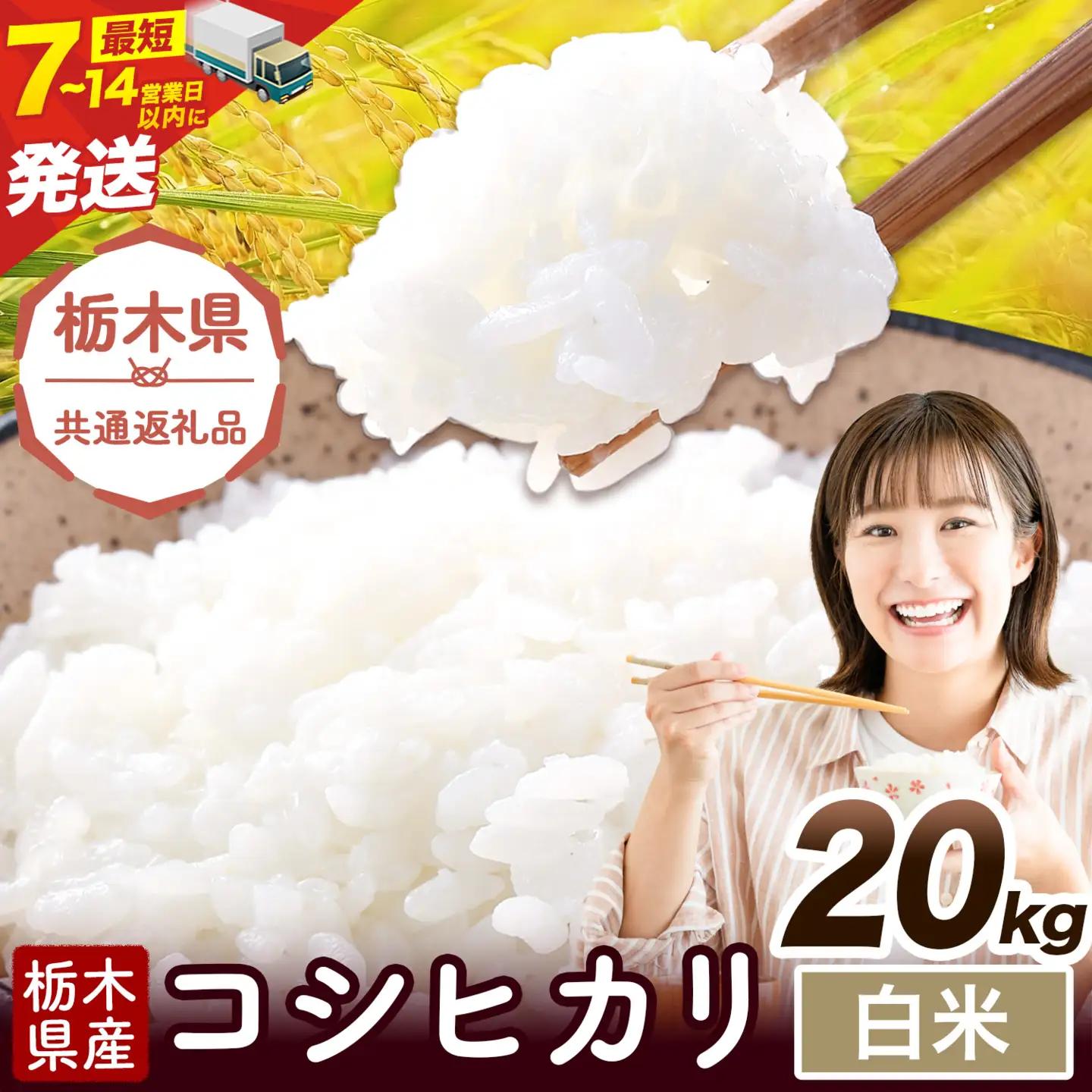 令和7年度産 米 栃木県産 コシヒカリ 白米 20kg《7-14日以内に出荷予定(土日祝除く)》栃木県 野木町 米 白米 精米 国産 お米 おこめ お弁当 おにぎり【栃木県共通返礼品】