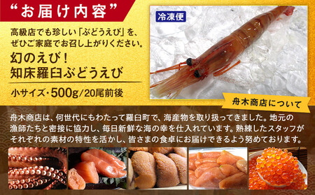 幻のぶどうえび（小・500g /20尾前後） エビ 海老 刺身 海鮮 羅臼町 北海道 海産物 魚介 魚介類 生産者 支援 応援
