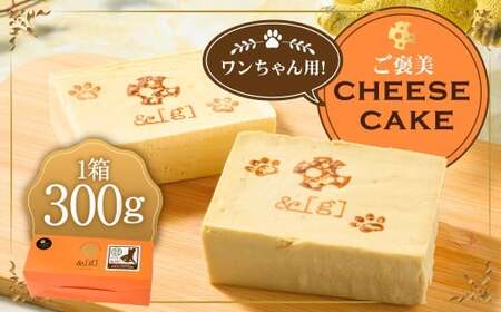 ワンちゃん用！ご褒美 cheese cake | ペット デザート スイーツ お菓子 洋菓子 菓子 冷凍 犬 ドッグ dog チーズケーキ チーズ ケーキ