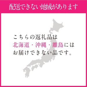 ぶどう 2024年 先行予約 シャインマスカット 晴王 1房 約500g 岡山県産 葡萄 ブドウ ギフト ハレノフルーツ 皮ごと食べる みずみずしい