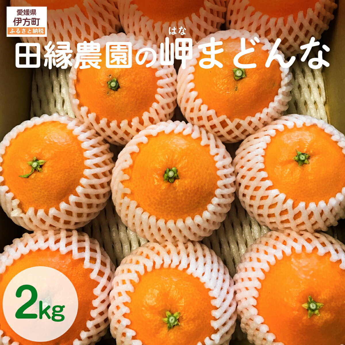 【ふるさと納税】【先行予約】【数量限定】田縁農園の岬（はな）まどんな（生果）2kg （2025年11月25日より順次発送） 【ふるさと納税 人気 おすすめ ランキング みかん 蜜柑 はなまどんな まどんな フルーツ 果物 愛媛県産 田縁農園 愛媛県 伊方町 送料無料】 IKTA024