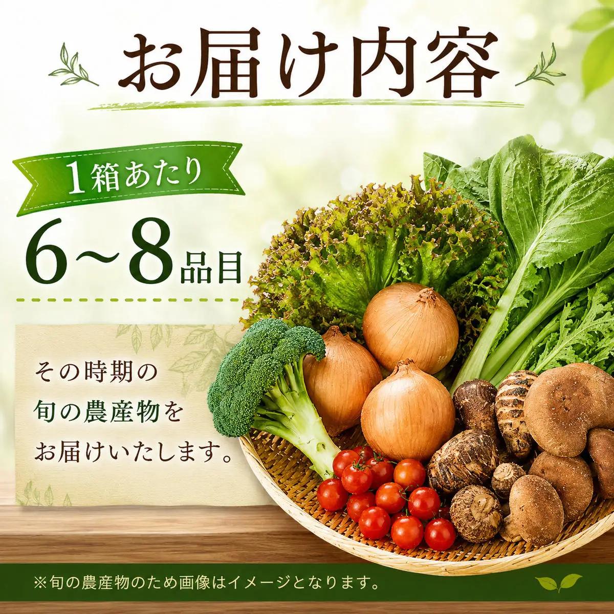 野菜詰合せ 旬の野菜セット産地直送 大阪府産 野菜詰合せ【6〜8品】