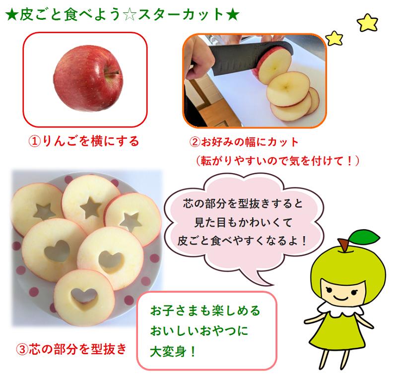 【2025年12月上旬発送】訳ありりんご約3kg（7～12個程度）|おまかせ品種|青森県五所川原市