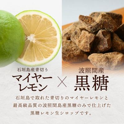 ふるさと納税 石垣市 【先行受付】<2025年10月〜12月順次発送> 黒糖レモン生シロップと果肉入りの120ml×各1本 |  | 02