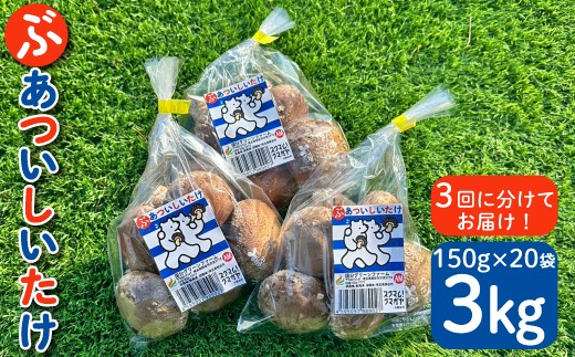 
            国分グリーンファームの採れたて「ぶあついしいたけ」（約1kg×3回）
          