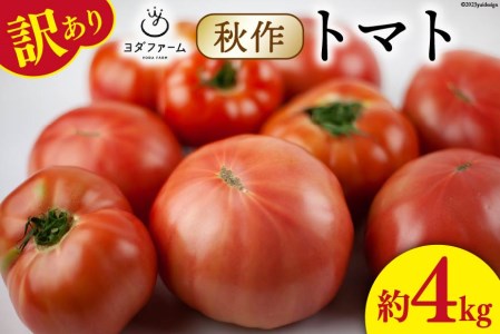【2026年10月下旬-12月下旬発送予定】 秋作 訳あり 桃太郎トマト 4kg [ヨダファーム]