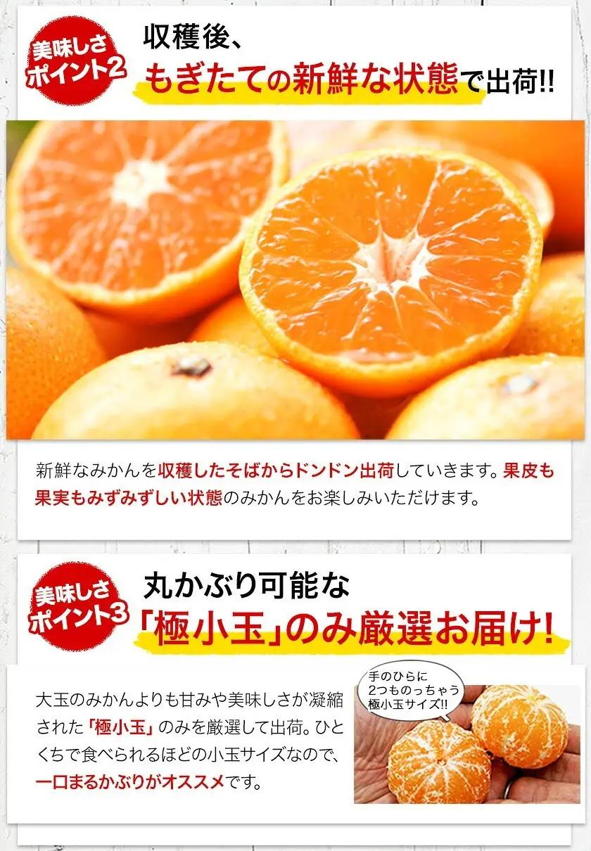 先行予約 小玉みかん S-3Sサイズ 2kg