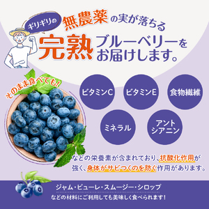 無農薬栽培 手摘み完熟ブルーベリー1kg 果物 くだもの フルーツ 完熟 手摘み ブルーベリー ジャム ピューレー スムージー シロップ 国産 農薬無使用 おいしい ビタミン 食物繊維 ミネラル 三重