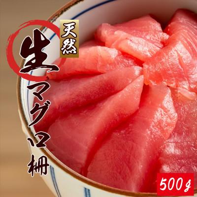 ふるさと納税 印南町 那智勝浦直送!天然生まぐろ　柵　500g