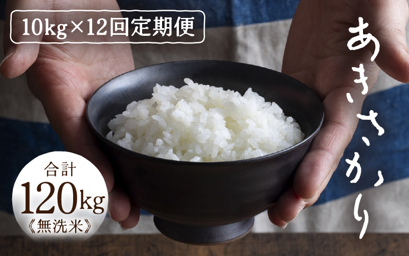 定期便 ≪12ヶ月連続お届け≫ 令和7年産 あきさかり 無洗米 10kg×12回（計120kg） ／ 米 10キロ 福井県産 ブランド米 あきさかり ご飯 白米 新鮮 高品質米 [aw121-p003