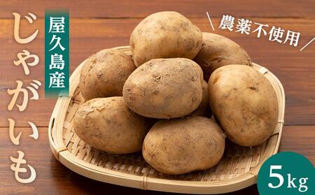 【2026年3月上旬頃から発送】屋久島産 じゃがいも 5kg＜農薬不使用＞