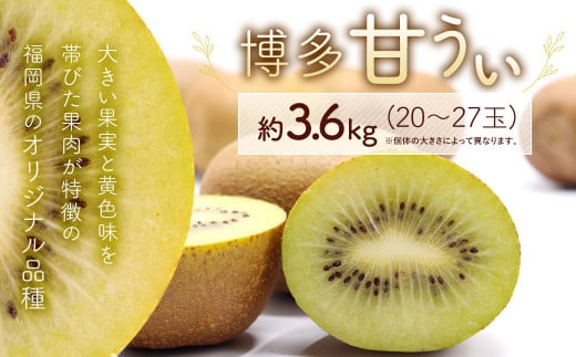 博多 甘うぃ (キウイフルーツ)  約3.6kg キウイ フルーツ 果物 くだもの【2025年11月上旬～11月下旬発送予定】
