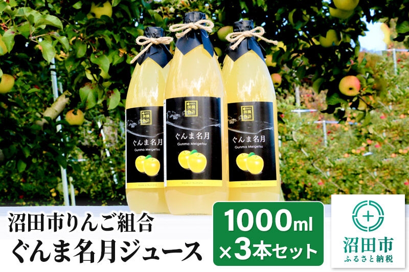 
                  《2027年1月中旬～2月上旬発送》沼田市りんご組合 ぐんま名月ジュース（ストレート）1000ml×3本セット [林檎 りんご リンゴ ぐんま名月]
                