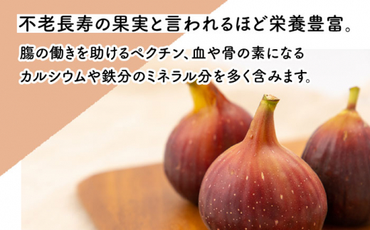 【先行受付】いちじく 約300g×4パック【田崎FARM】[OCU004] / いちじく 無花果 イチジク 長崎県産いちじく 川棚町産無花果 肉厚イチジク いちじく ふるーつ フルーツ 果物 くだもの