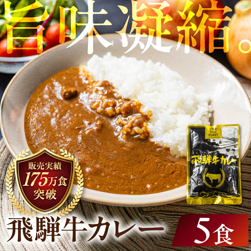 【ふるさと納税】飛騨牛カレー (5袋) | 常温配送 5,000円 訳あり 飛騨牛 肉 牛 カレー ビーフカレー 簡易包装 レトルトカレー ご当地カレー 人気 おすすめ 便利 飛騨高山 ふるさと清見 DC005VP